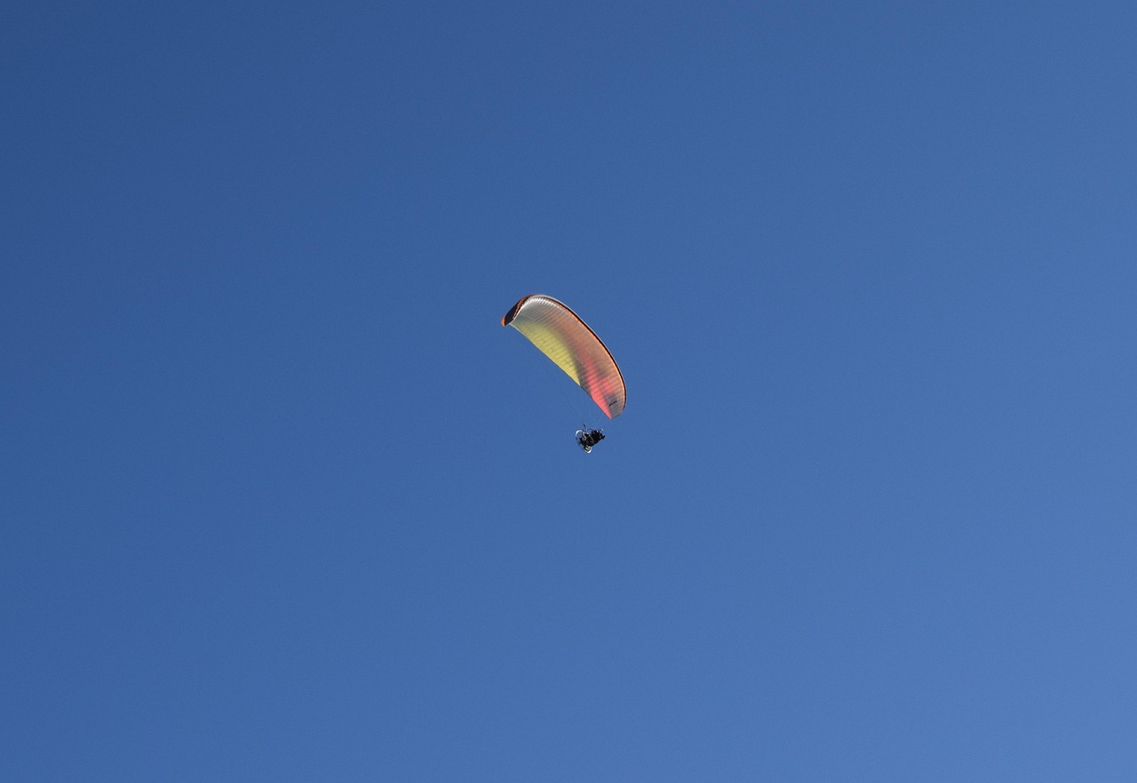 黔江區(qū)粟永特最新動態(tài)更新，粟永特最新消息與活動概況