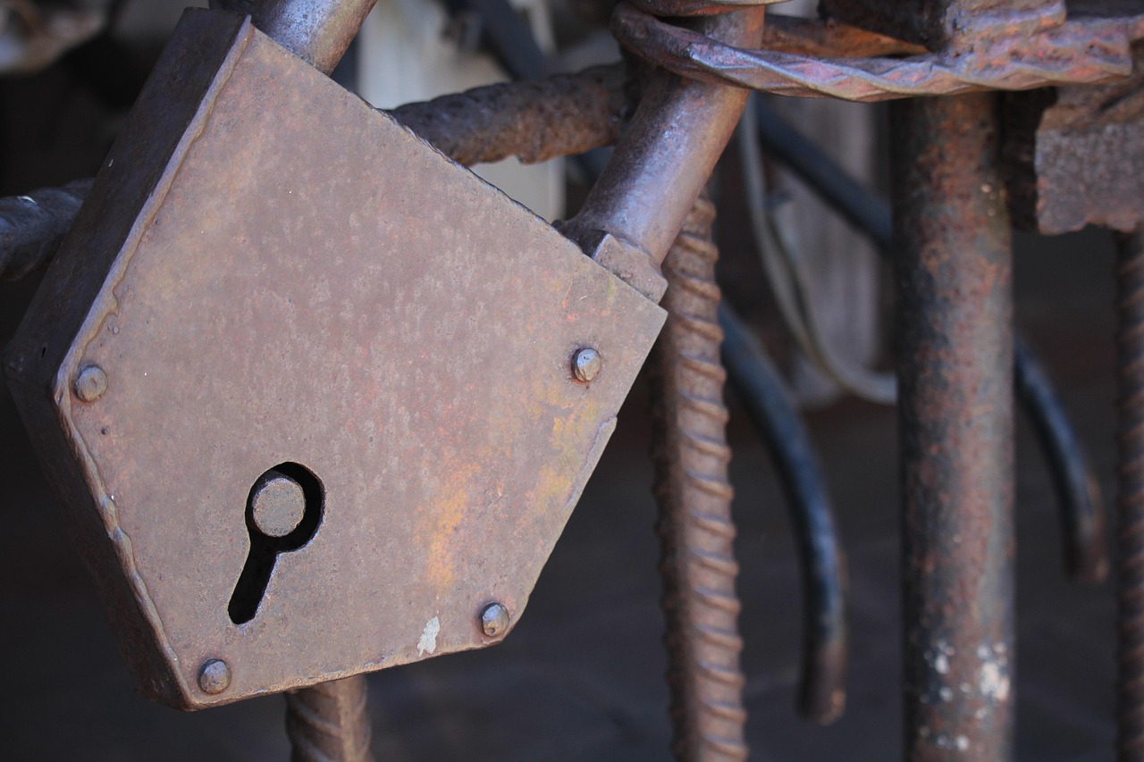 廣東省黨代會(huì)最新動(dòng)態(tài)，新時(shí)代的新征程啟航