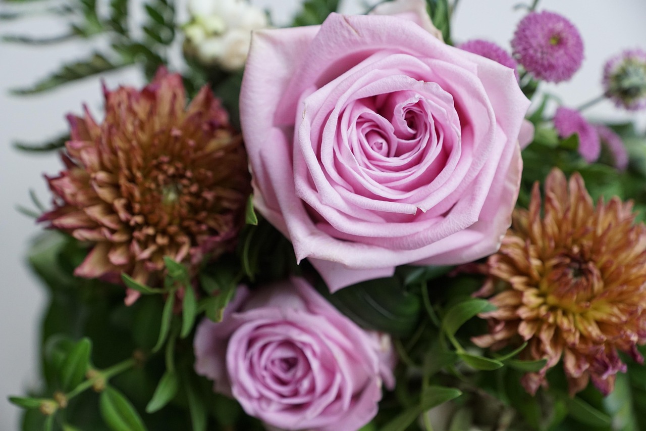 金谷美麗城最新動態(tài)，揭開未來繁華序幕