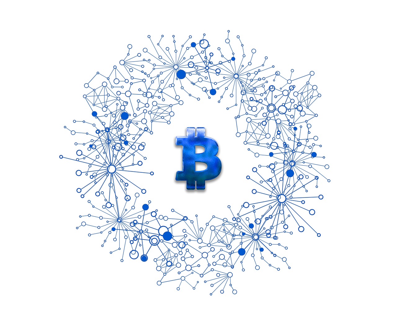 美人魚幣最新動(dòng)態(tài)，探索數(shù)字貨幣新領(lǐng)域