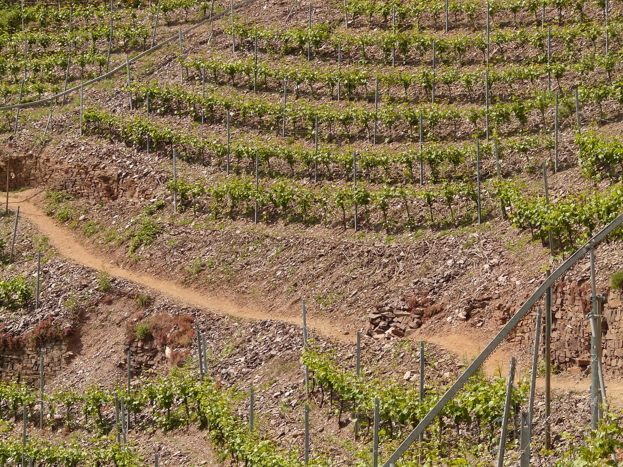 紅河谷論壇最新地址，全新探索與交流平臺(tái)的開(kāi)啟