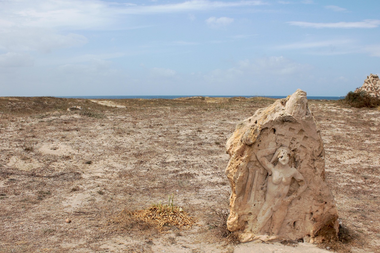 濱海旅游區(qū)新動(dòng)態(tài)，世界級(jí)旅游目的地打造最新消息
