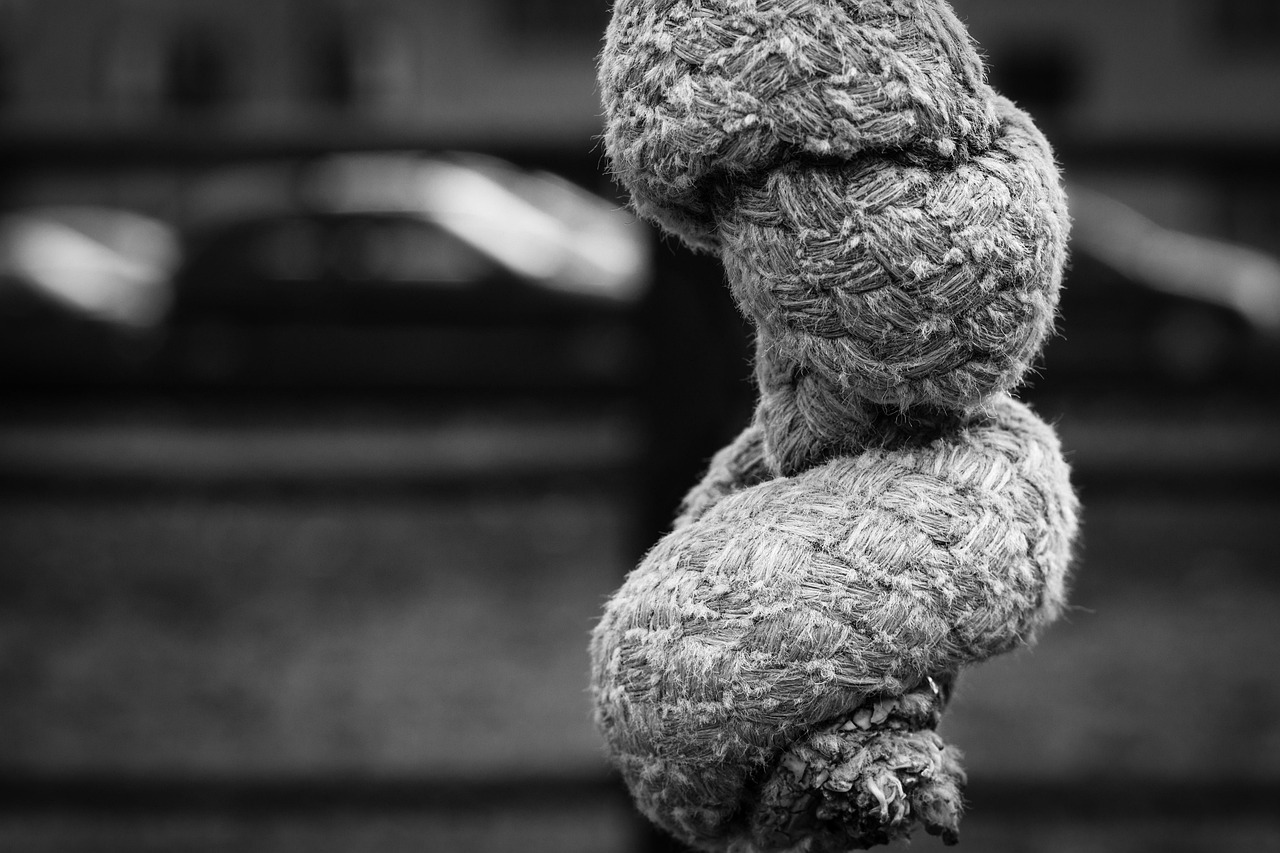 佳能RF鏡頭2023最新動(dòng)態(tài)，引領(lǐng)攝影技術(shù)革新