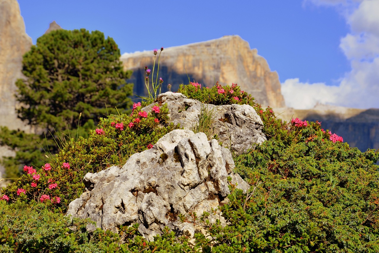 哈市道外區(qū)最新招聘動態(tài)，崗位發(fā)布與影響分析