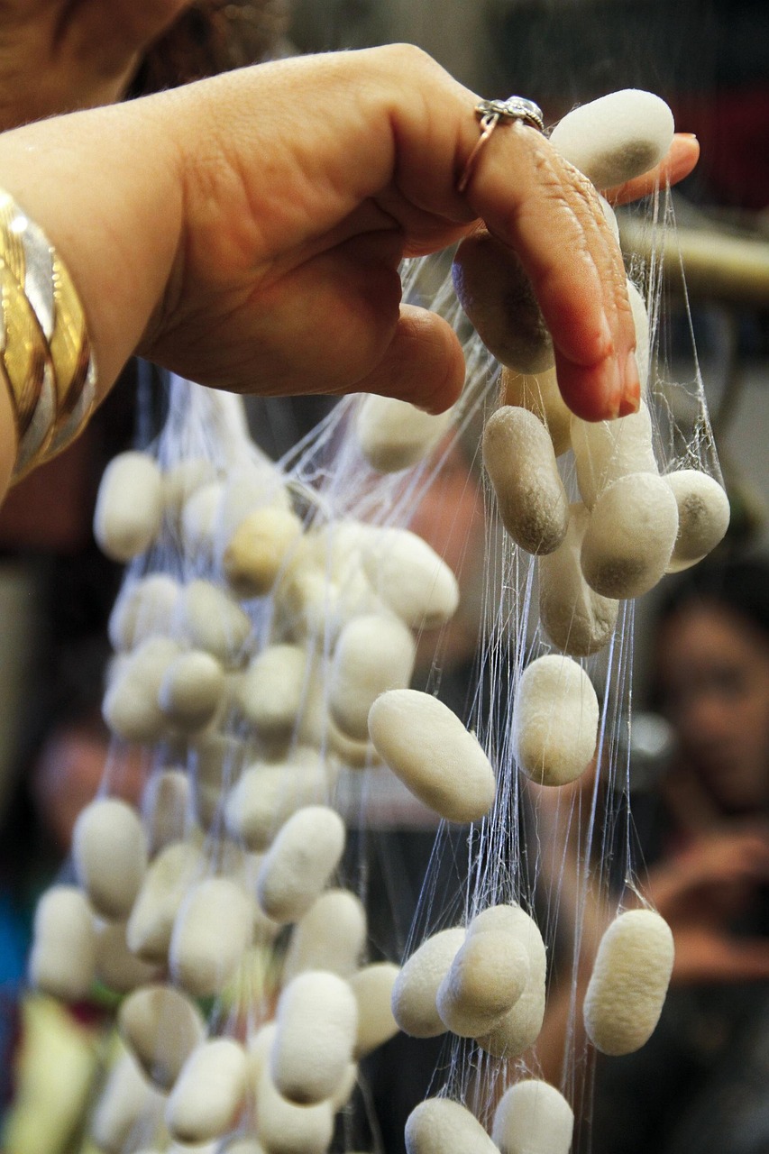 三殿村改造最新動(dòng)態(tài)，重塑鄉(xiāng)村風(fēng)貌，邁向現(xiàn)代化進(jìn)程