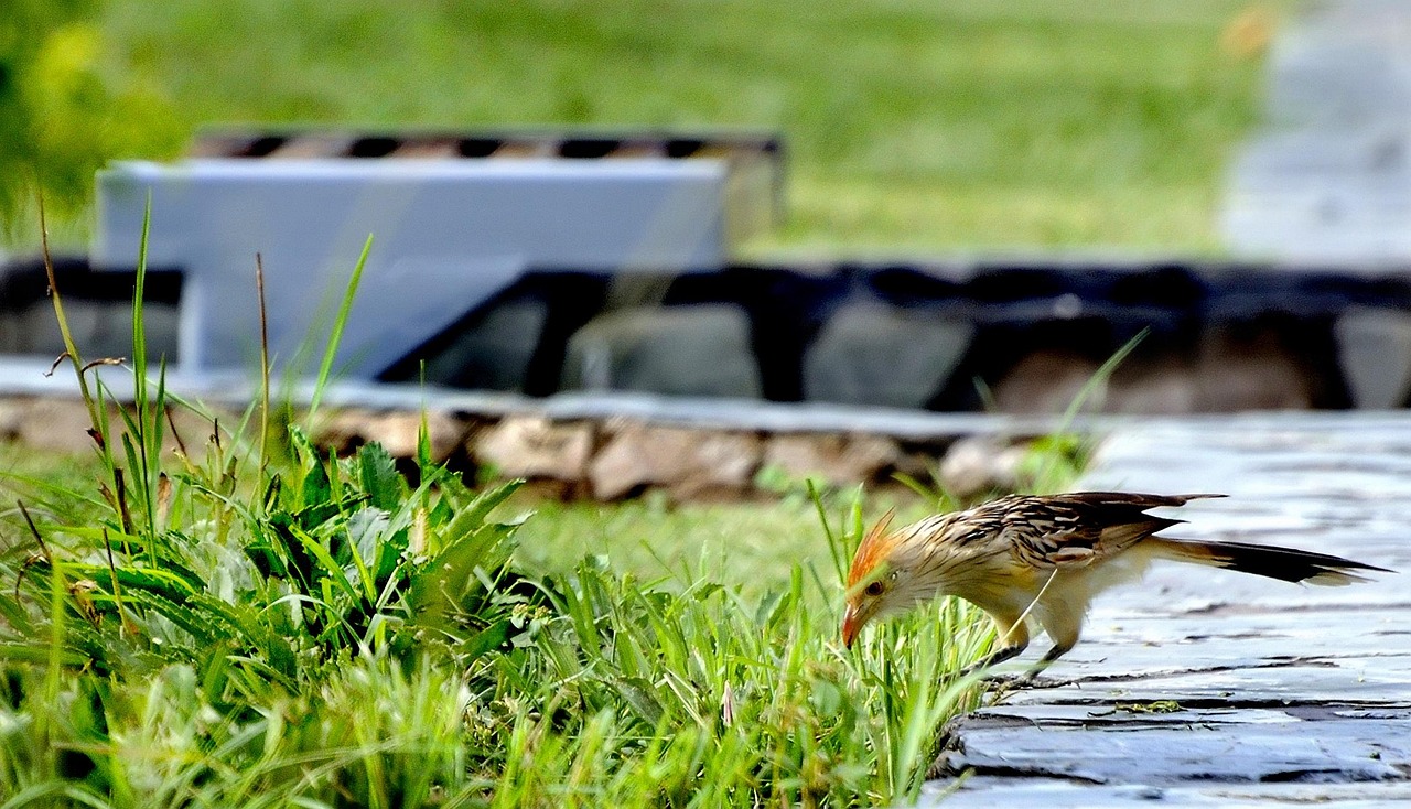 2025年2月 第172頁(yè)