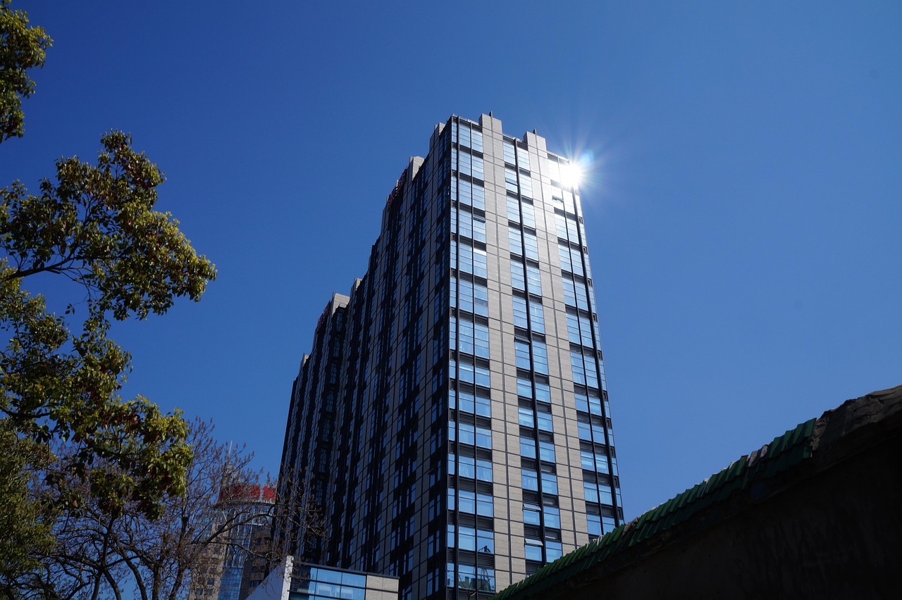 林口二手樓房最新發(fā)布，市場(chǎng)趨勢(shì)與購(gòu)房指南