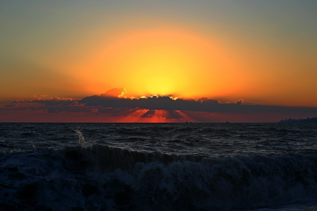 暮光之城女主最新動(dòng)態(tài)，閃耀星辰的更新揭秘