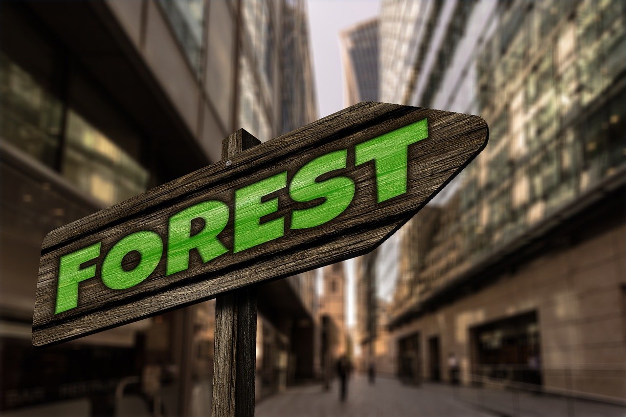 最新567彩票app下載體驗(yàn)，探索最新版本的功能與優(yōu)勢(shì)