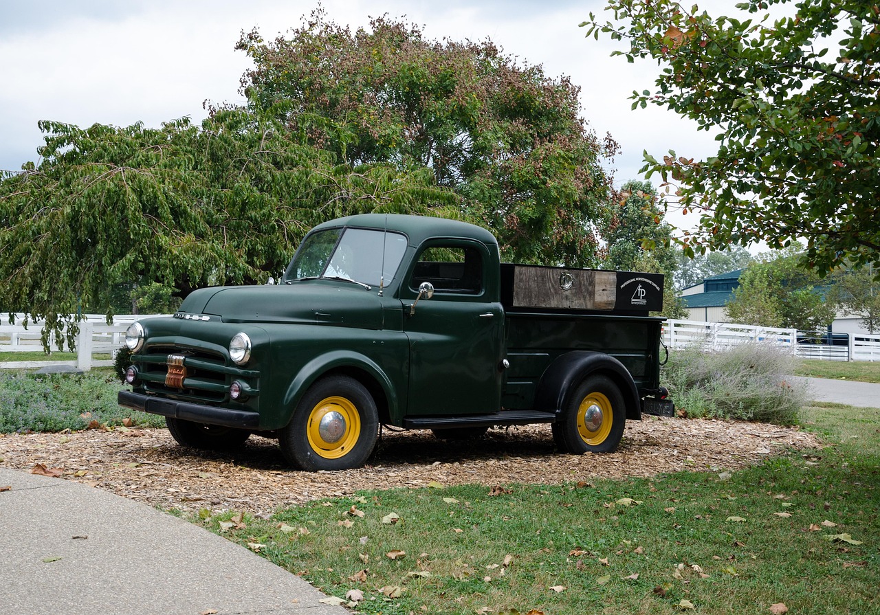 大興區(qū)蘆東路最新動態(tài)，發(fā)展進展與未來展望