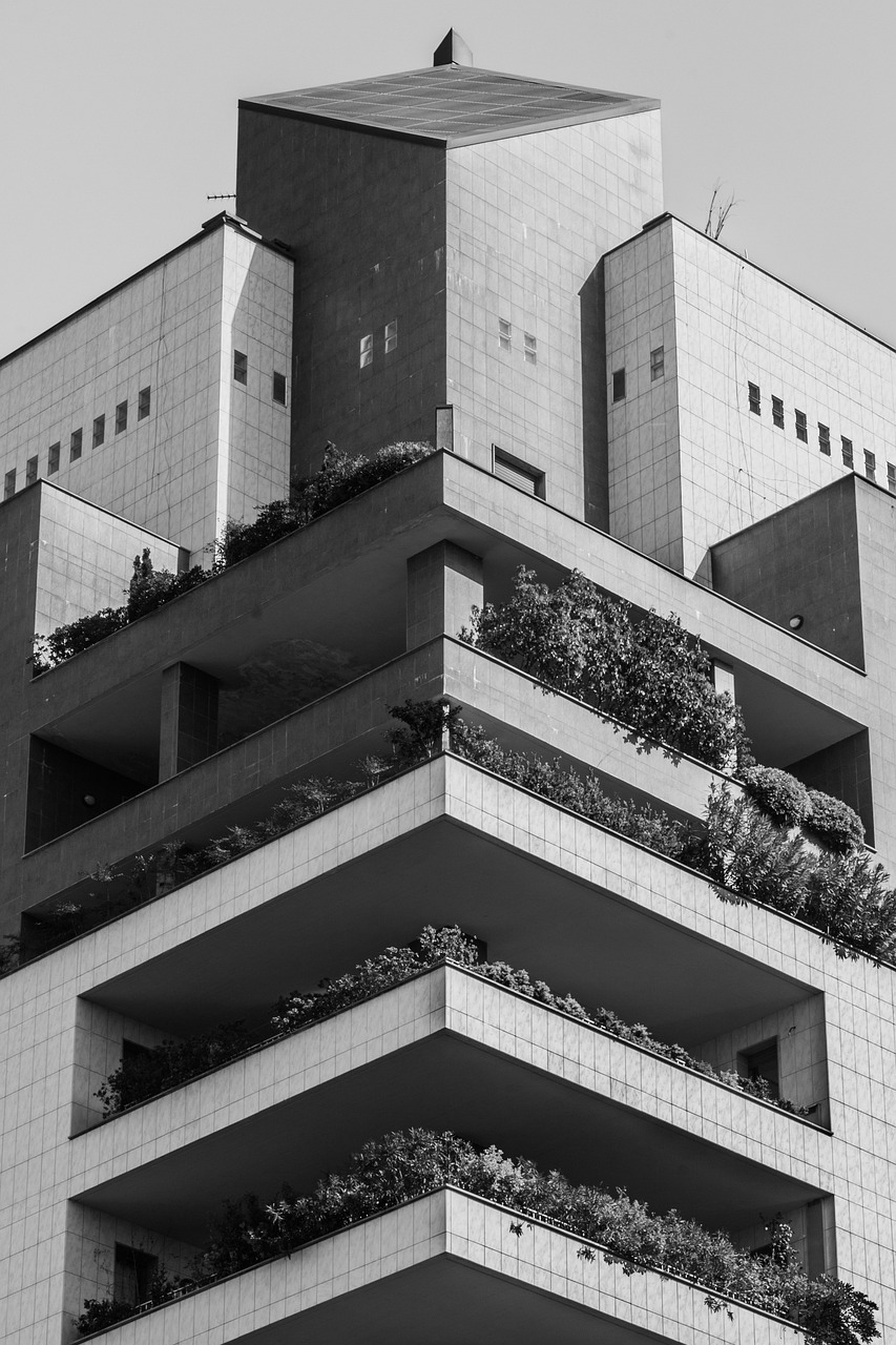 秦漢大道二期最新動(dòng)態(tài)，建設(shè)進(jìn)展及未來展望