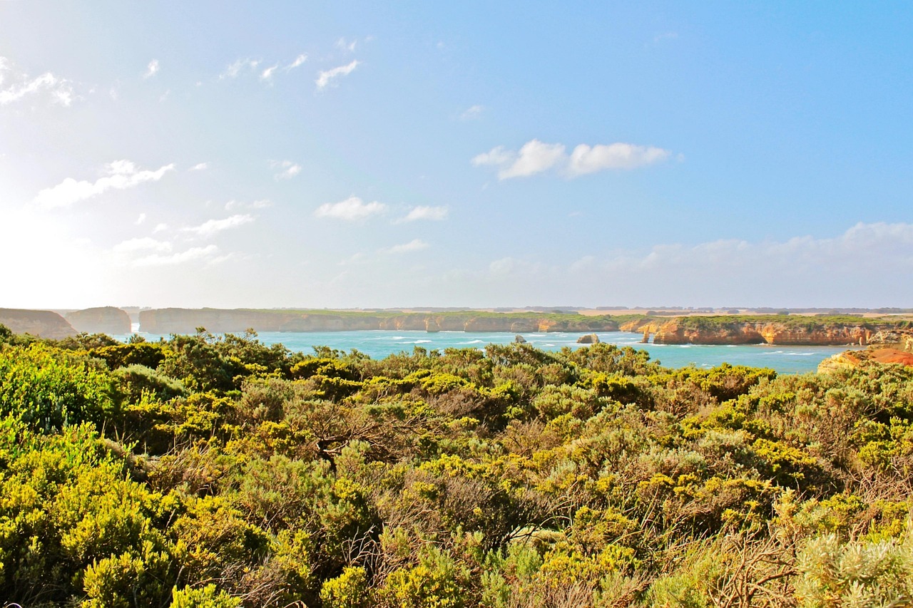 水洛鎮(zhèn)崖王村最新動態(tài)更新，最新消息匯總