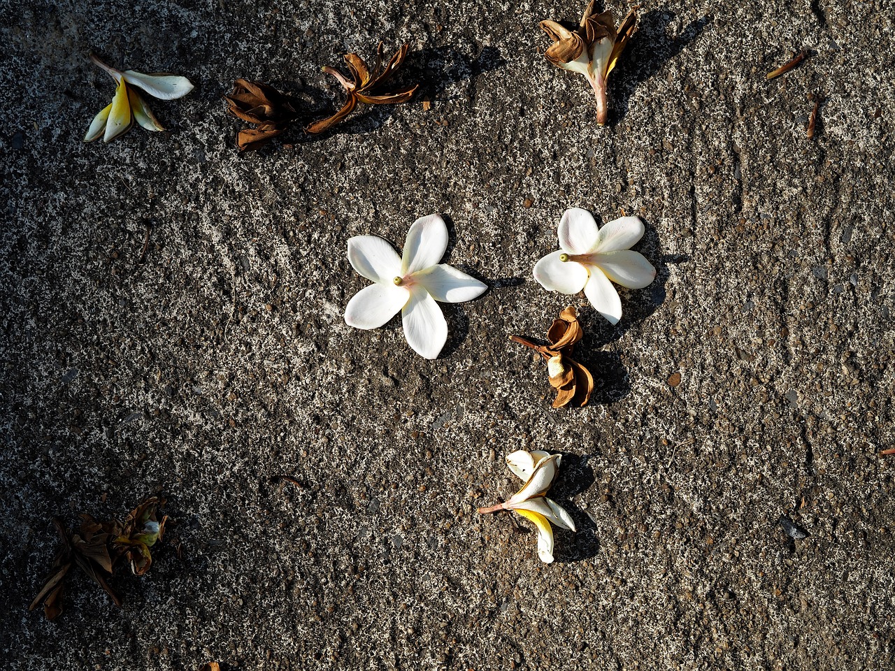 洪澤湖采砂最新動(dòng)態(tài)更新，最新采砂消息揭秘