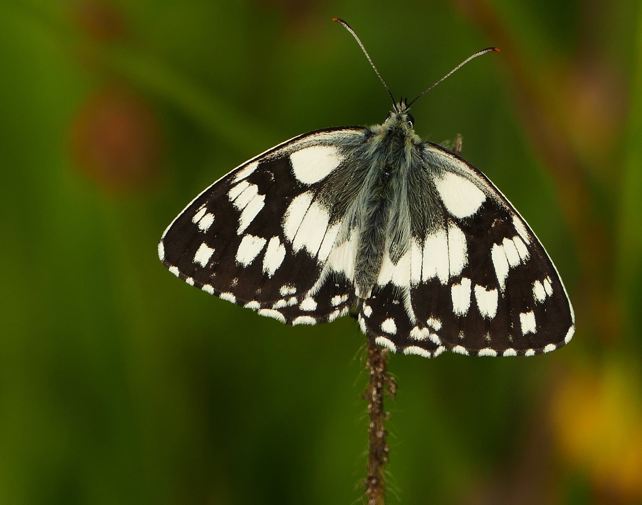 周村二手房最新信息概覽，最新房源、價(jià)格及交易動(dòng)態(tài)一網(wǎng)打盡