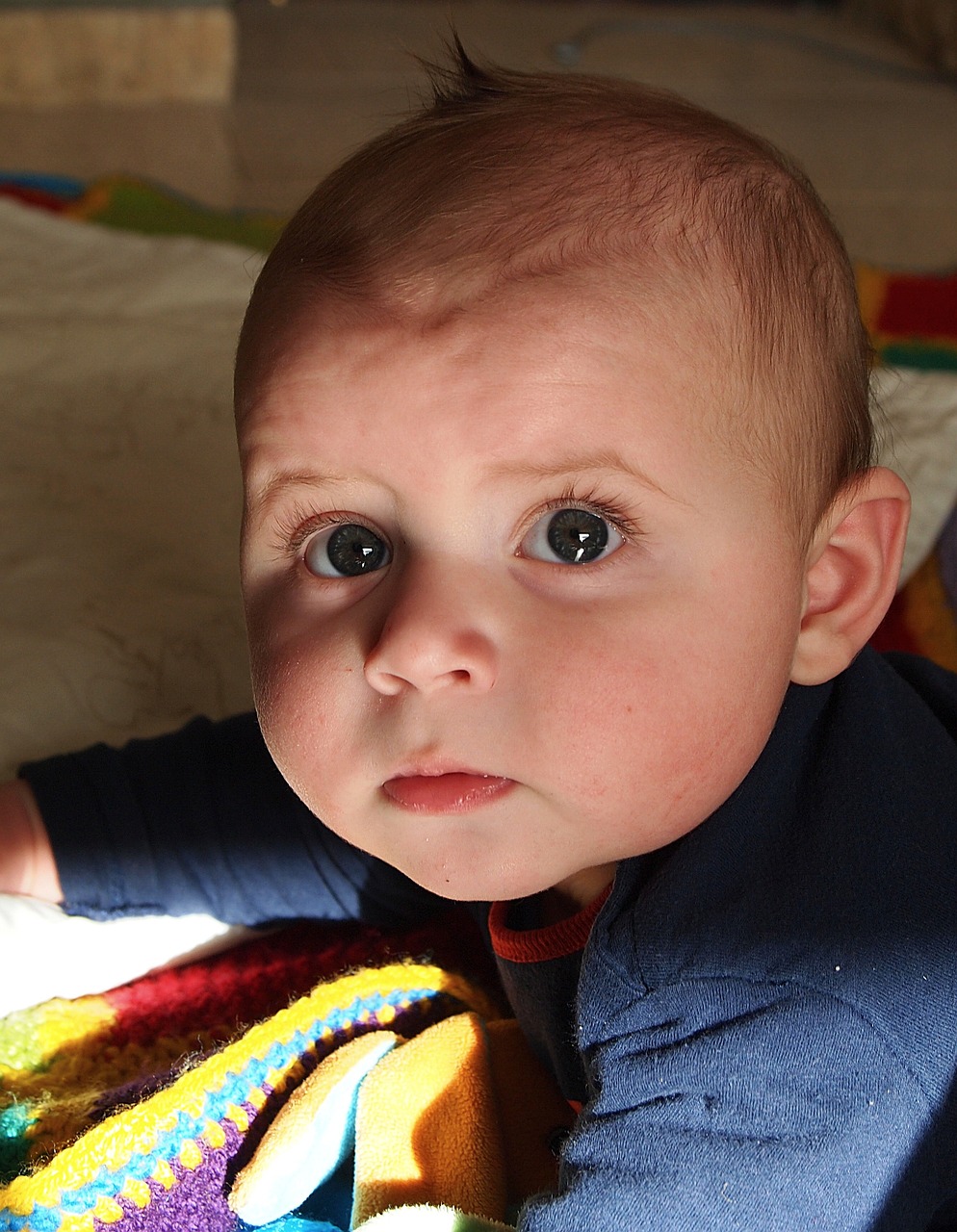 吳立勝與秦飛最新消息綜述，揭秘二人的最新動(dòng)態(tài)