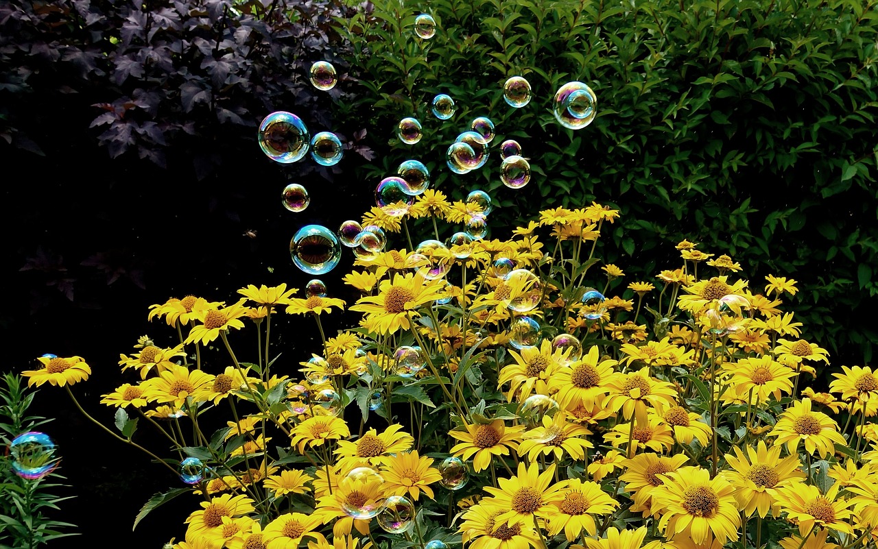 滄州萬國城最新消息深度解析，最新動態(tài)與解讀