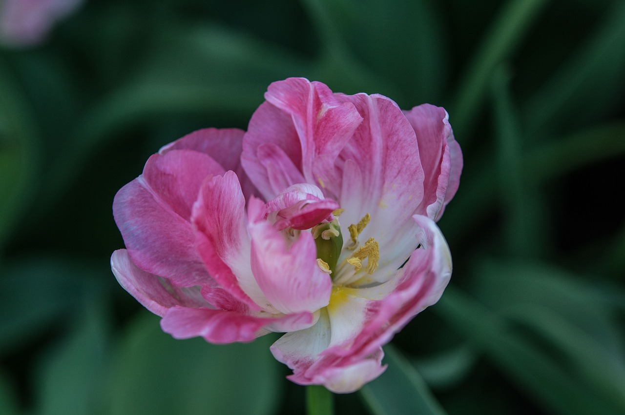 2025年3月 第341頁(yè)