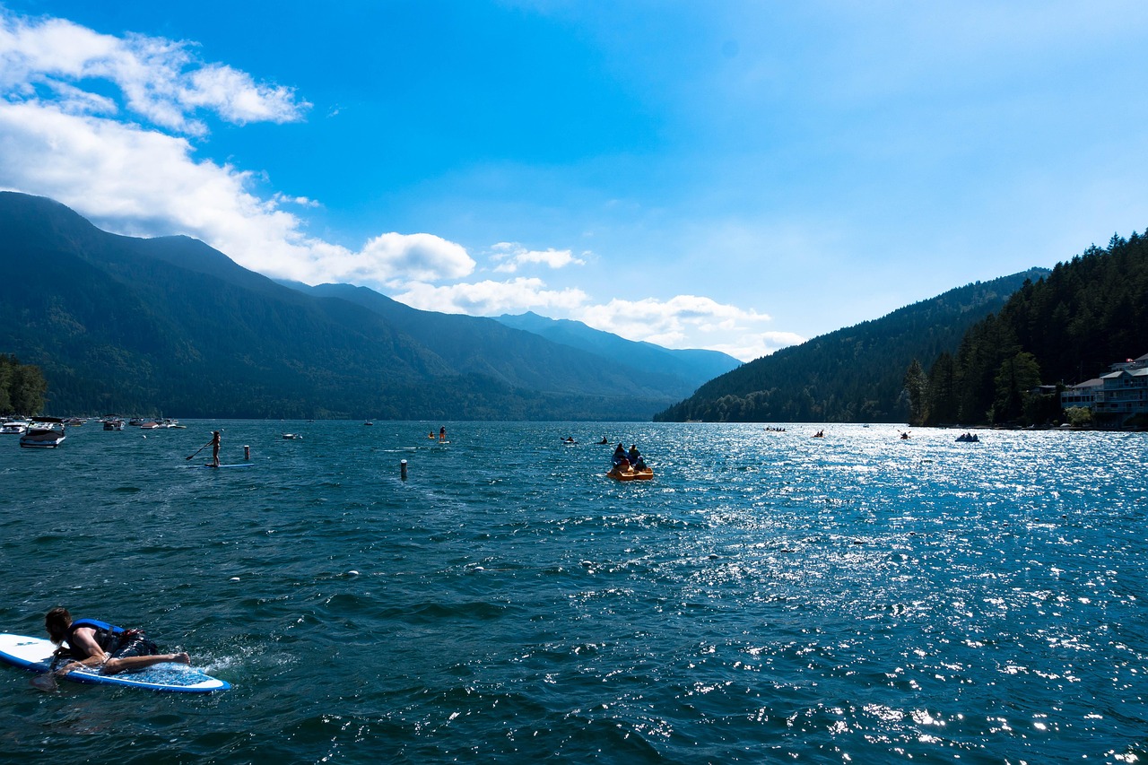 廣東省李峰最新消息概覽，最新動(dòng)態(tài)與進(jìn)展。