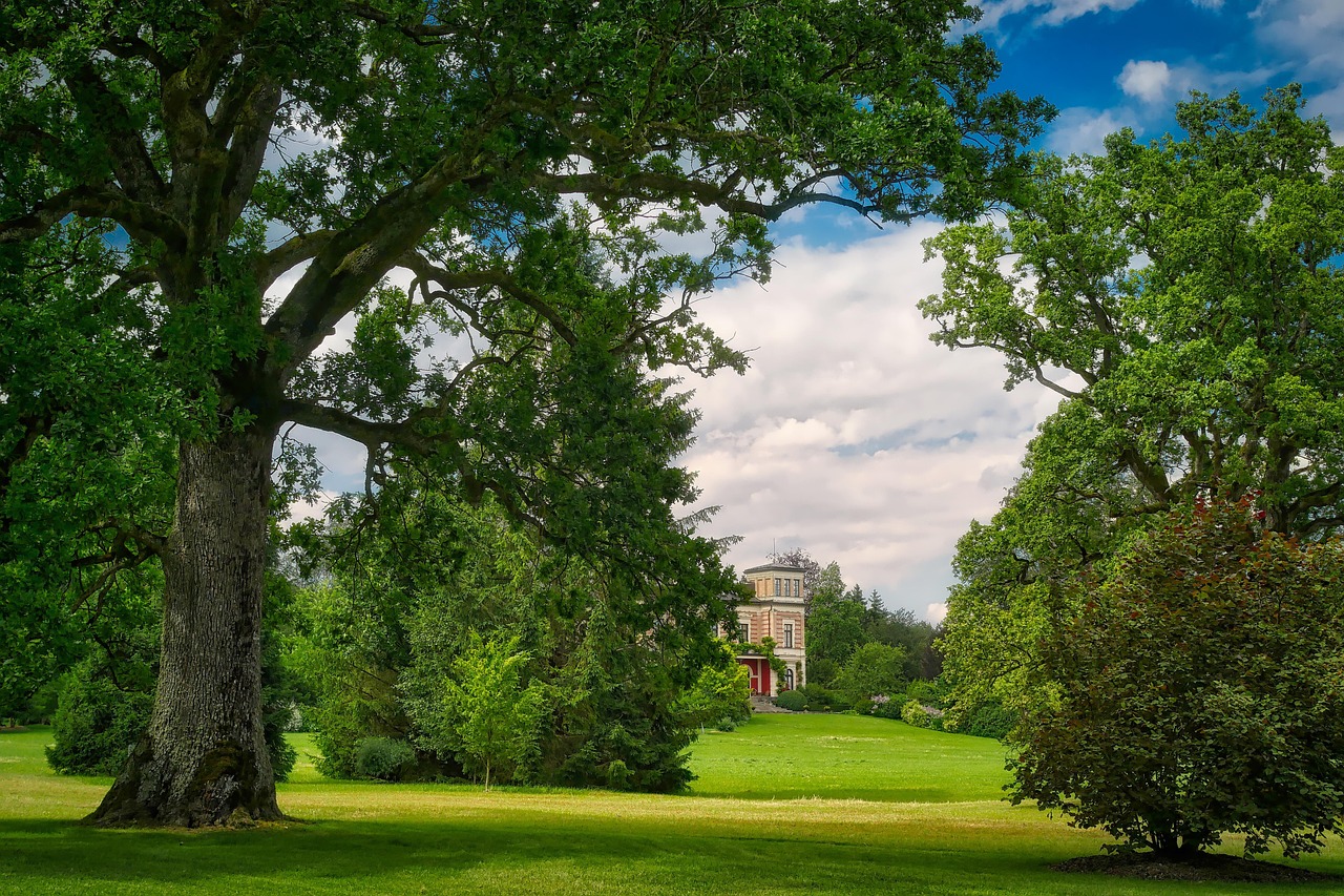 愛(ài)濤尚書(shū)云邸最新動(dòng)態(tài)揭秘，城市繁華生活新篇章