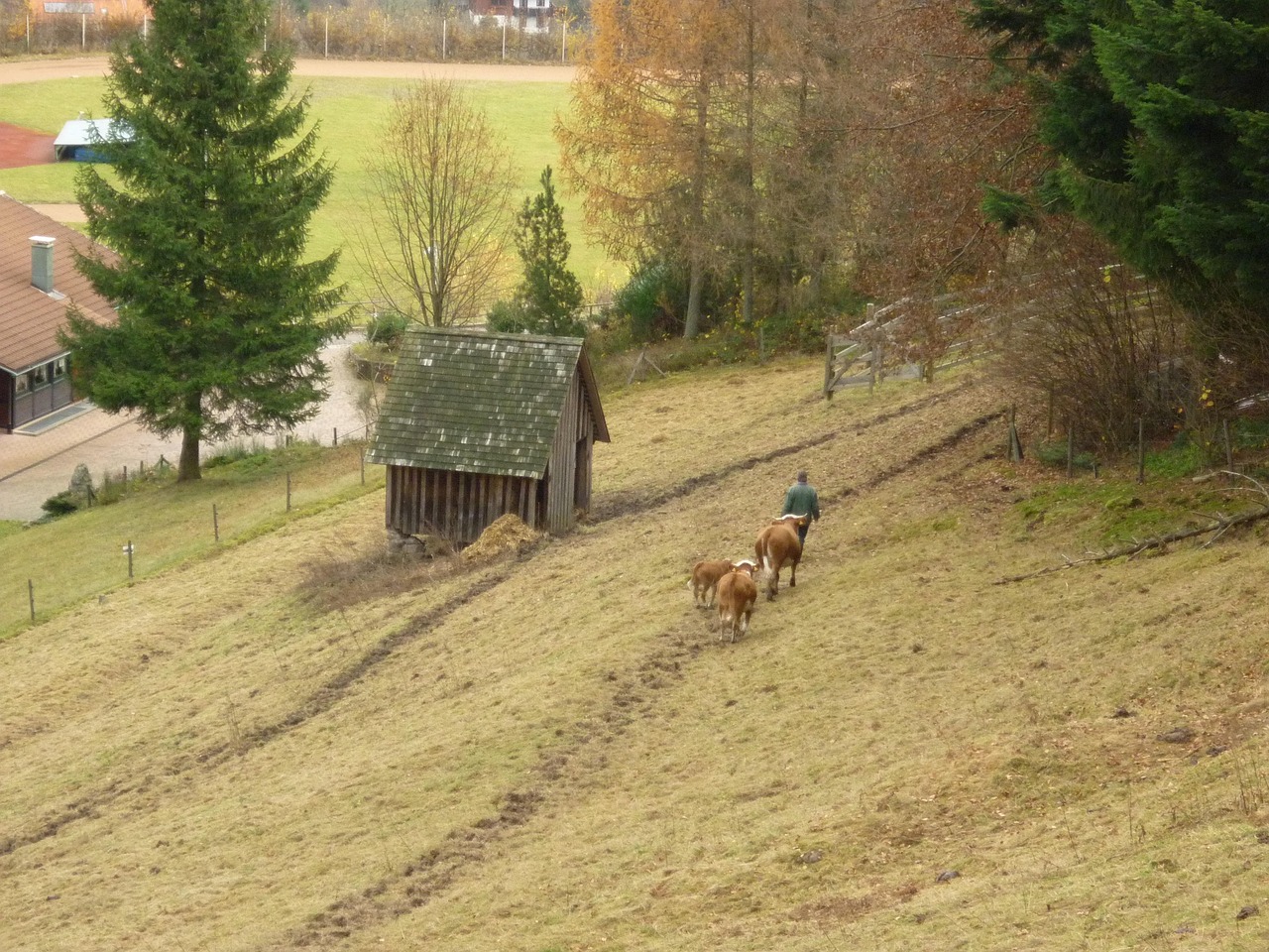 QQ農(nóng)牧場偷匪最新版，開啟游戲樂趣與挑戰(zhàn)的新篇章