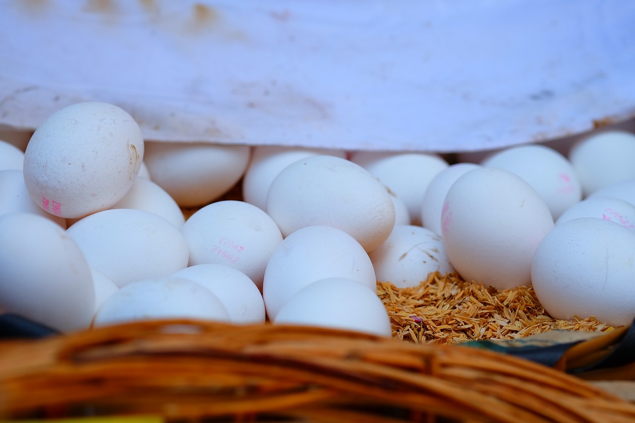 杭州網(wǎng)約車最新動(dòng)態(tài)，行業(yè)變革與未來(lái)展望