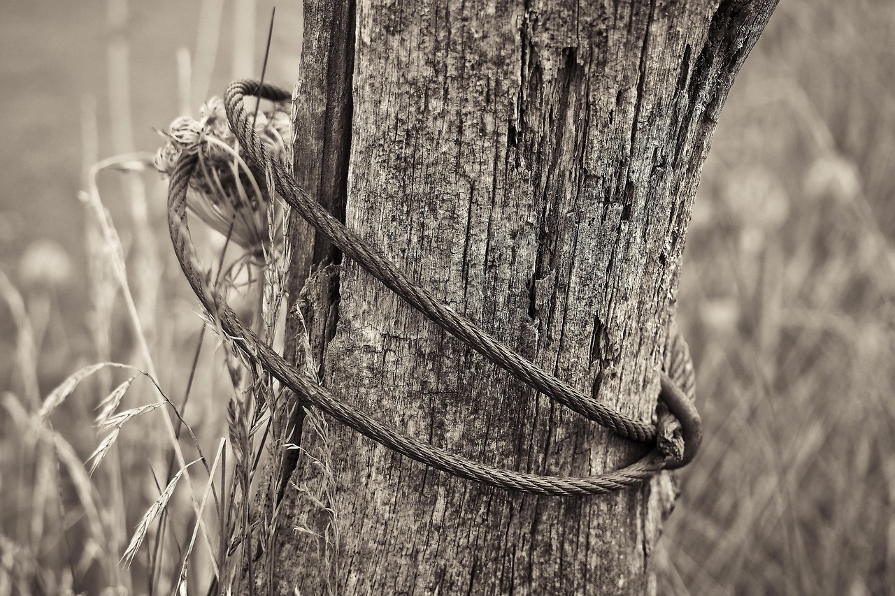 祁陽(yáng)撤縣劃市最新動(dòng)態(tài)，轉(zhuǎn)型發(fā)展開啟嶄新篇章