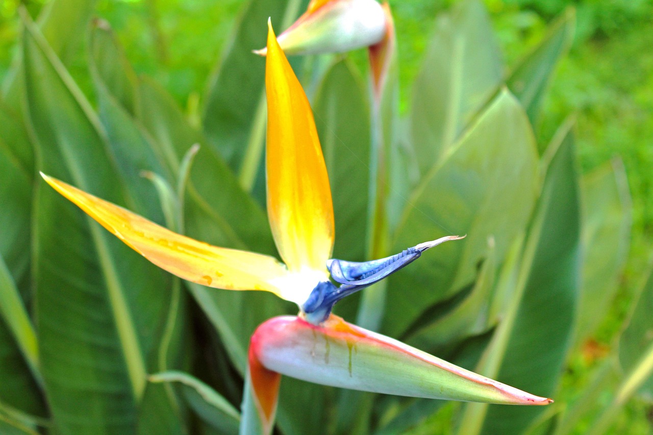 心已麻木 第6頁(yè)