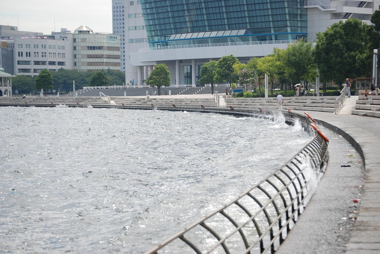 鄭州海昌海洋公園最新動態(tài)揭秘，揭開神秘面紗，展現(xiàn)海洋魅力奇觀