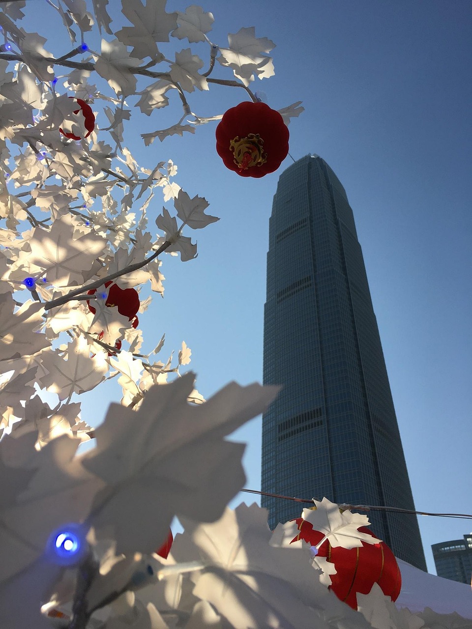 漫漫長(zhǎng)夜新版本砍樹(shù)探索，全新體驗(yàn)之旅