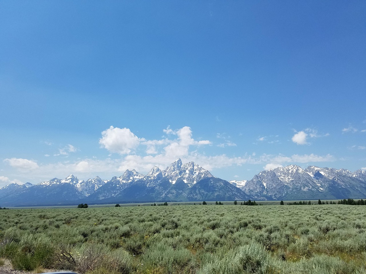 崀山犬木塘庫最新動(dòng)態(tài)，揭開神秘面紗下的壯麗景象揭秘