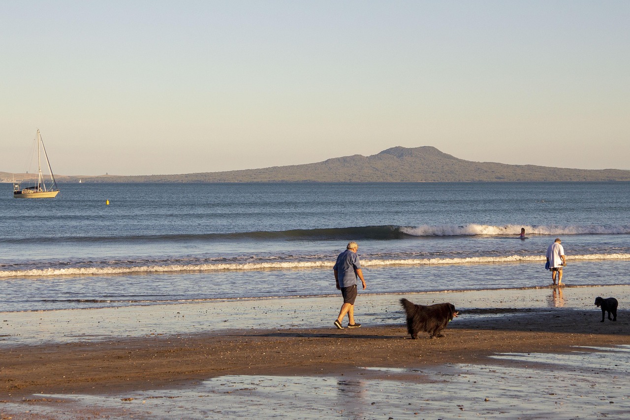 山西退休職工養(yǎng)老金調(diào)整最新動(dòng)態(tài)，改革進(jìn)展、未來展望與調(diào)整消息速遞