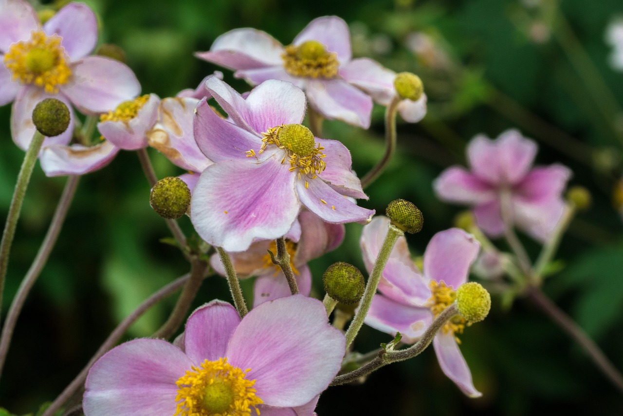馬刺最新動態(tài)，持續(xù)進(jìn)化，蓄勢待發(fā)啟航新征程