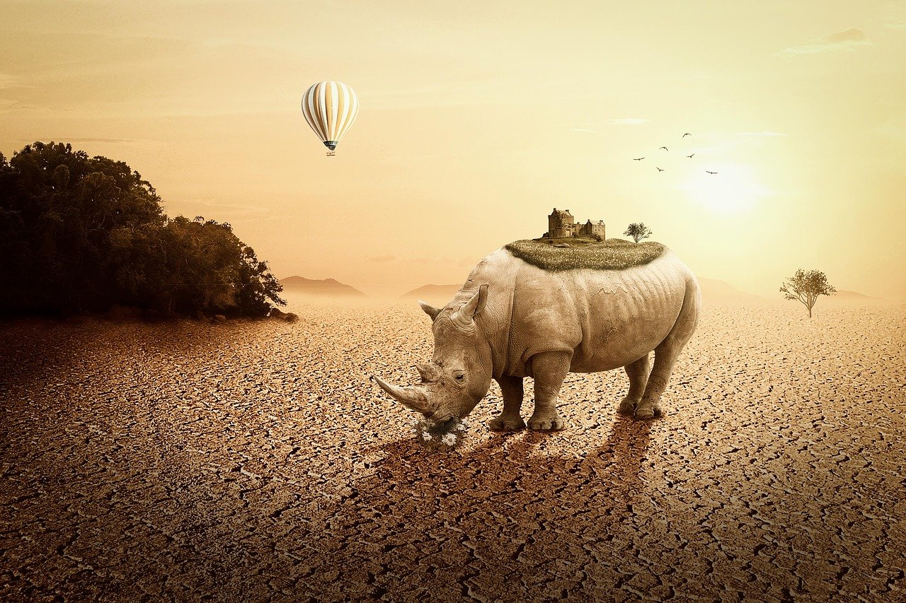 高陽最新樓盤信息全面解析，最新房源、動態(tài)及優(yōu)惠一網(wǎng)打盡！