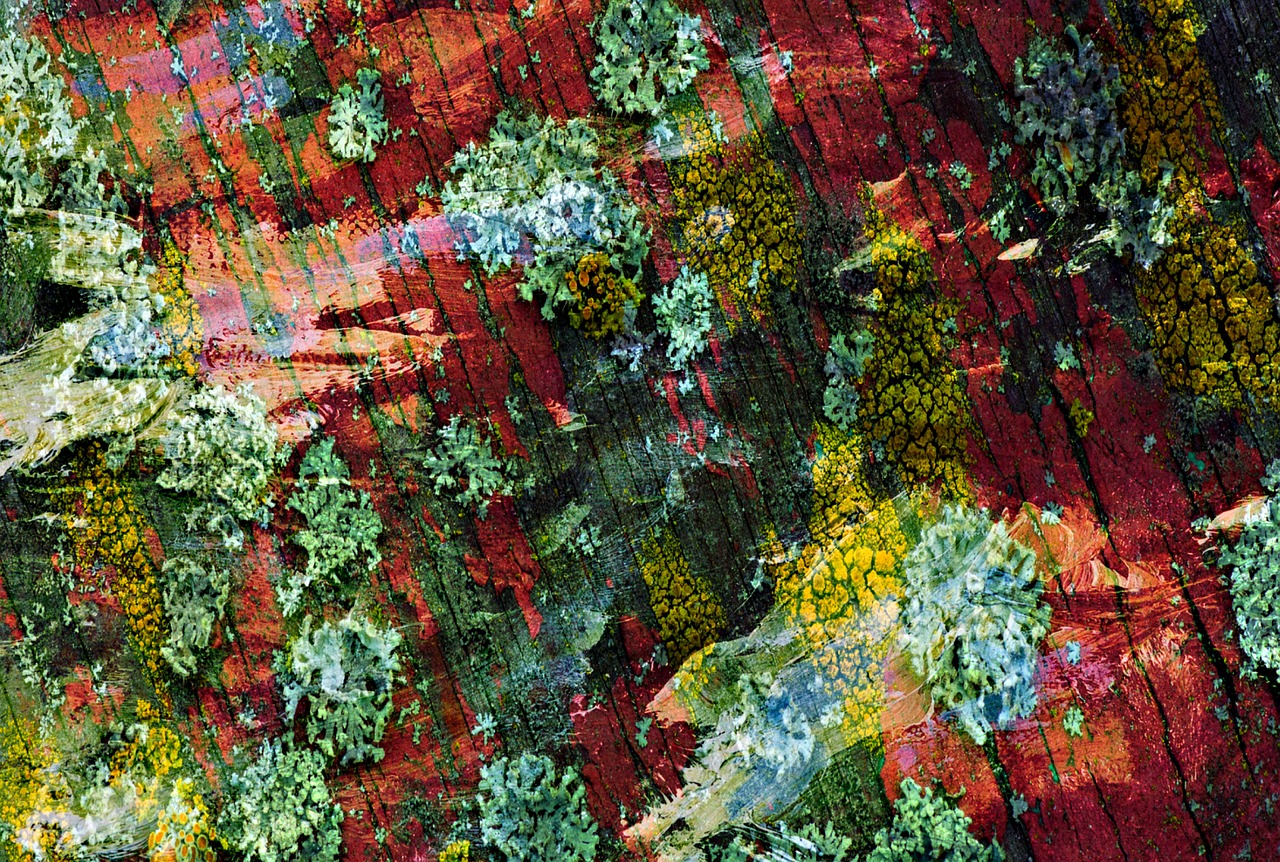 自然與現(xiàn)代交融的山野雜家新風(fēng)貌，鄉(xiāng)村新篇章