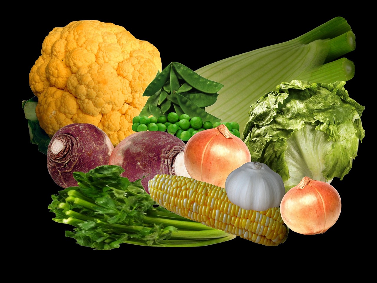 全椒最新發(fā)展動態(tài)，城市進步與未來展望