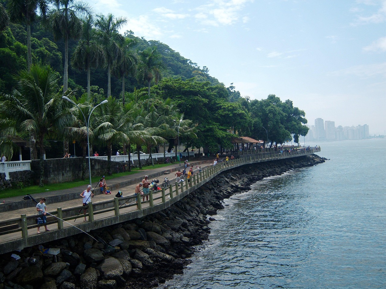 最新打魚(yú)平臺(tái)，探索現(xiàn)代漁業(yè)的新領(lǐng)域