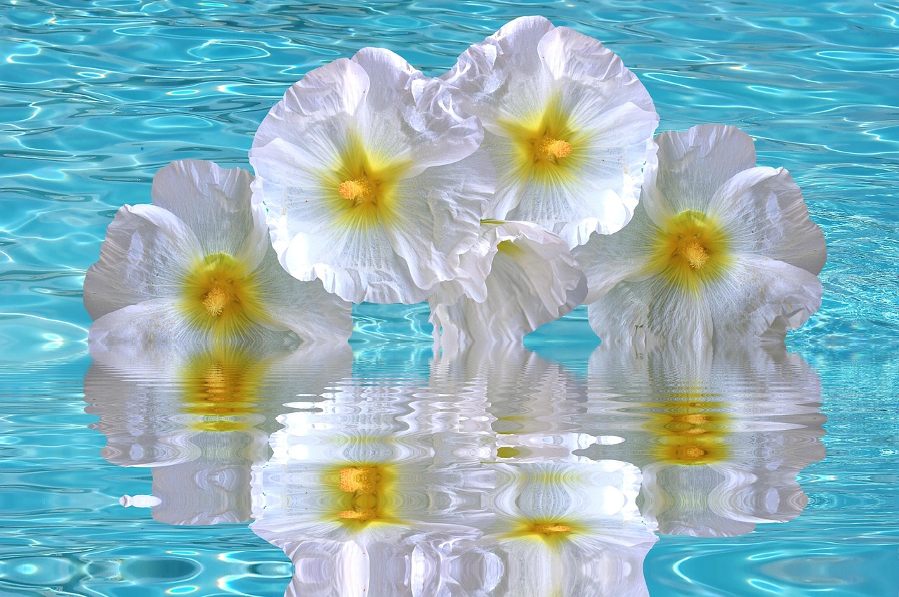 加勒比海域動(dòng)態(tài)更新，海盜活動(dòng)頻繁，警惕性需提升（最新報(bào)告 06月15日）