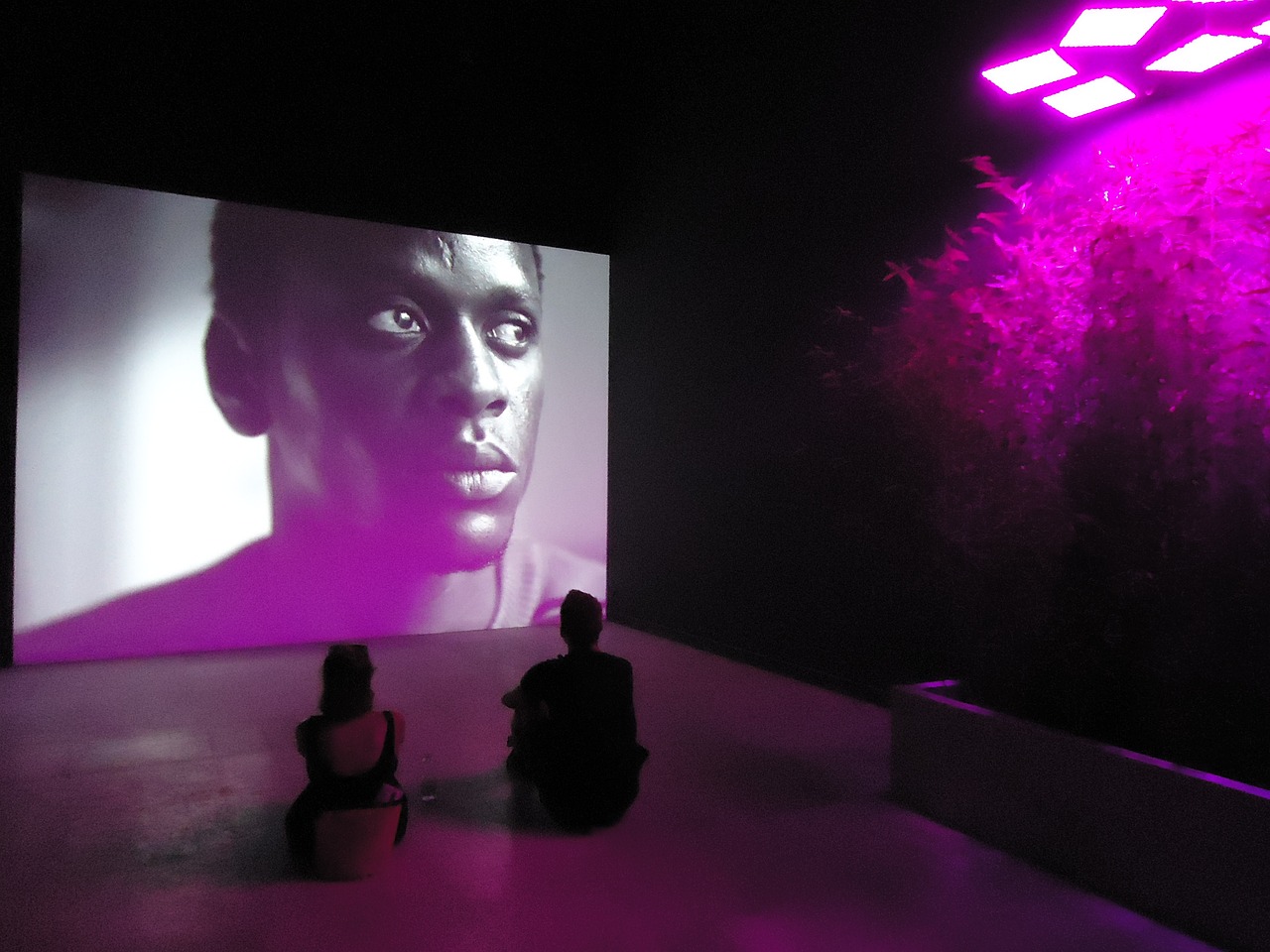 最新首映網(wǎng)，引領(lǐng)觀影潮流，打造電影愛(ài)好者首選平臺(tái)