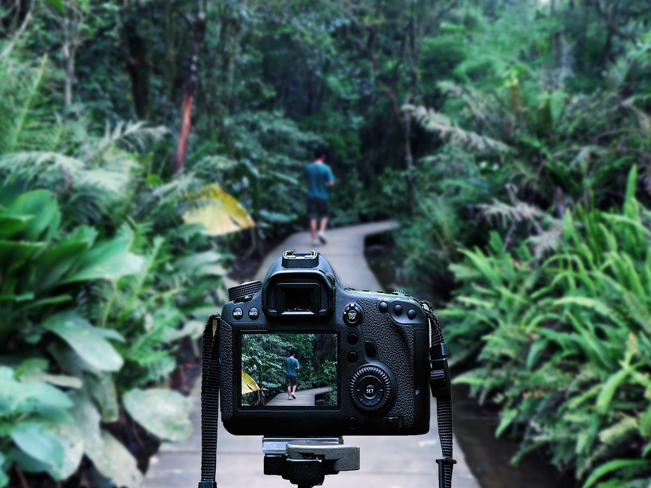 華晨宇最新動態(tài)，音樂之旅開啟新篇章