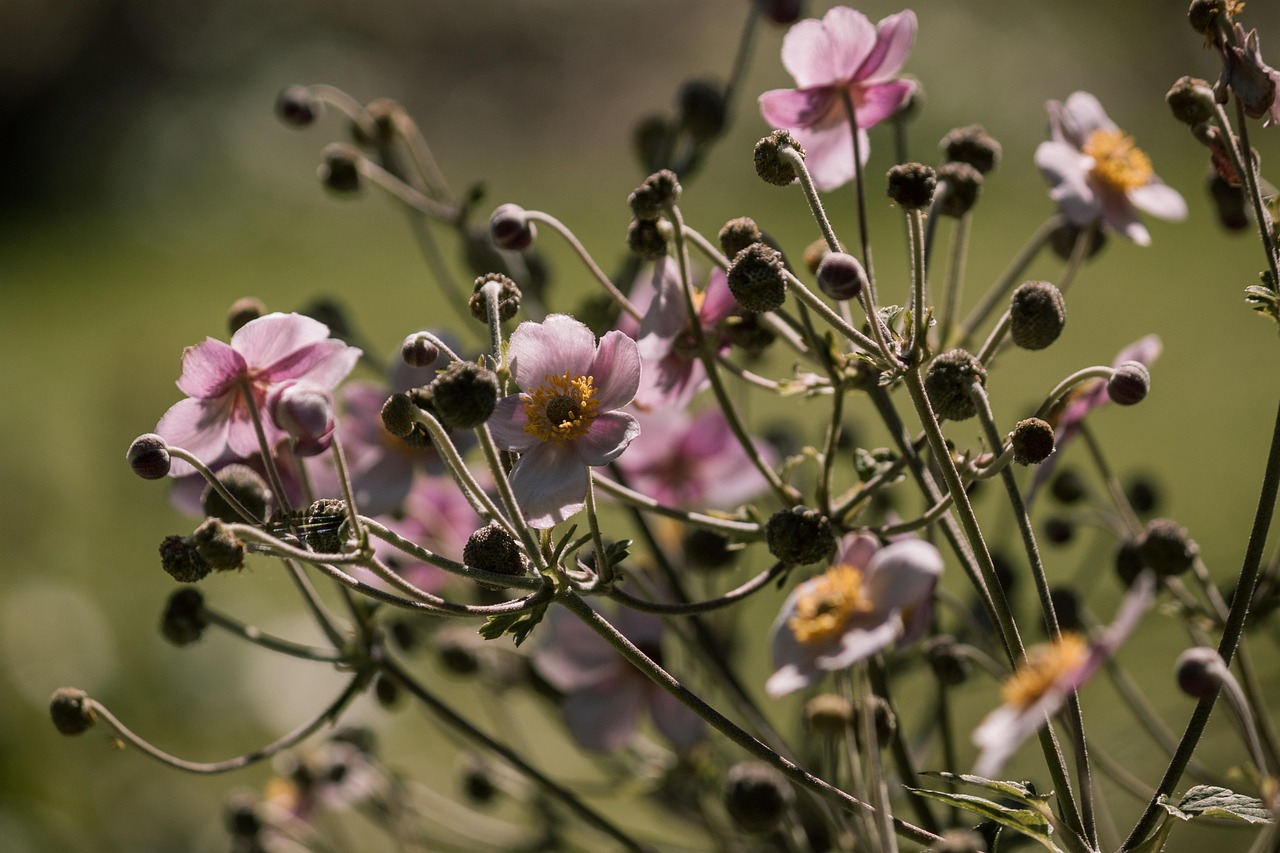 最新獲取信息資源及其影響，探索前沿領(lǐng)域的最新動態(tài)