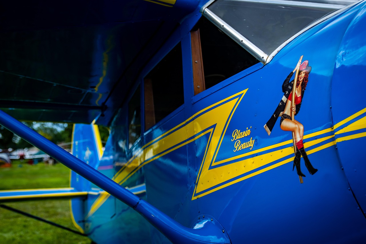 革新觀影體驗(yàn)，最新視頻app帶你飛！