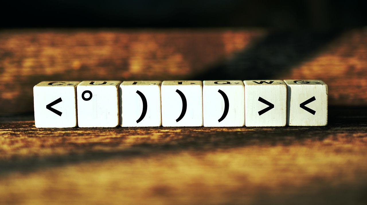 揭秘武警最新肩章，榮譽(yù)與職責(zé)的象征標(biāo)志