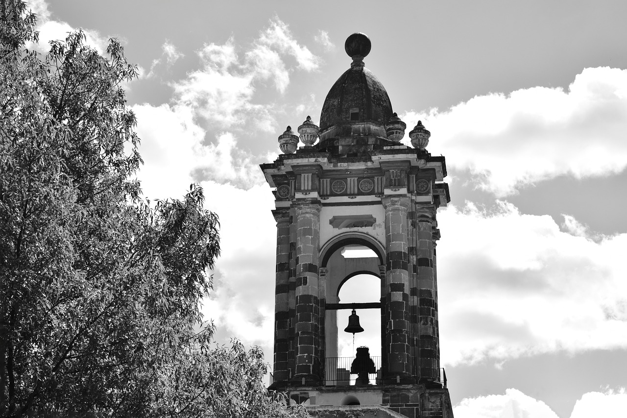 尿素最新報(bào)價(jià)與市場動態(tài)分析概覽